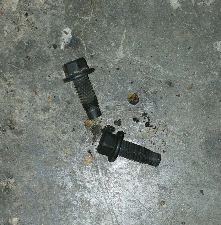 bolts.webp