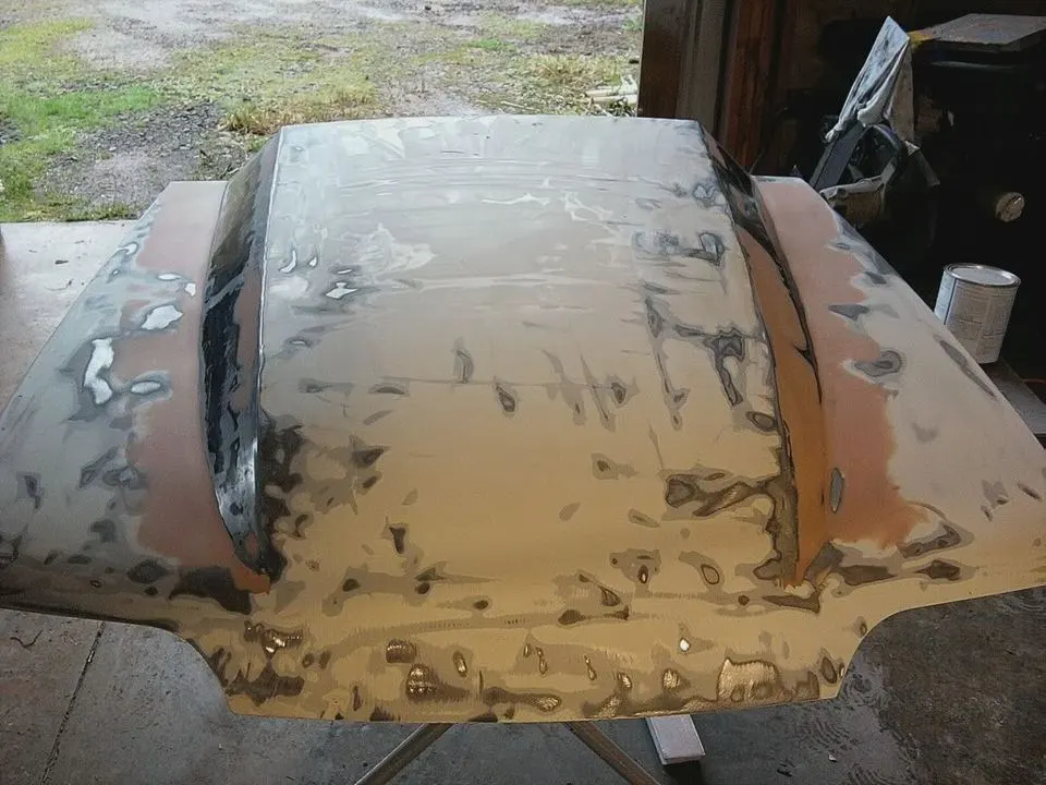 bondo3.webp