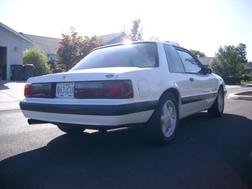 booty.webp