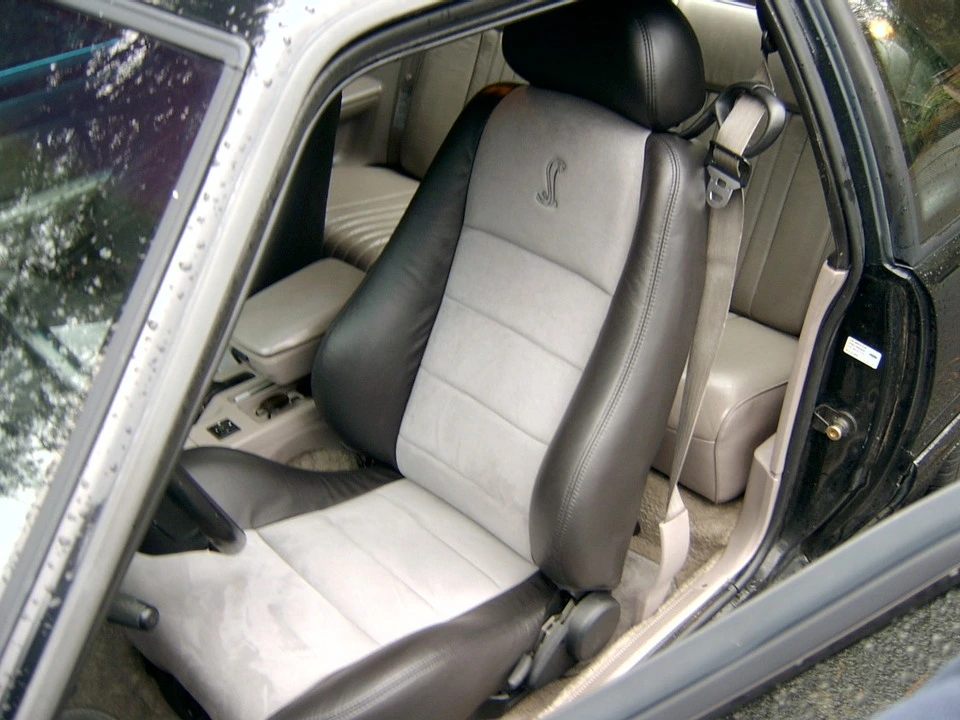 bothseats2.webp