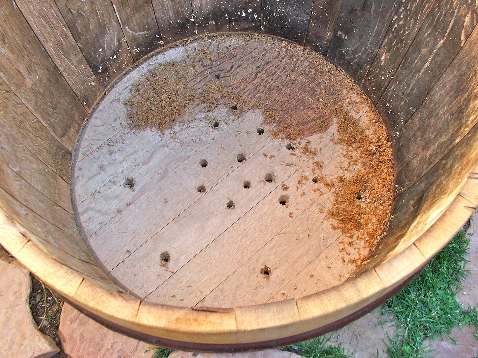 Bottom+of+the+barrel.webp