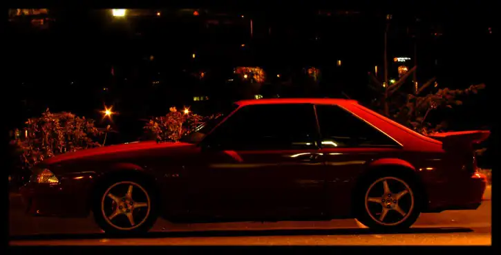 BrandonsCameraPics9.webp