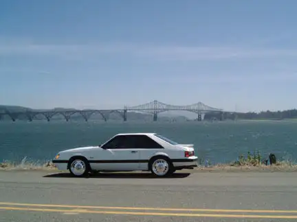 Bridge1.webp