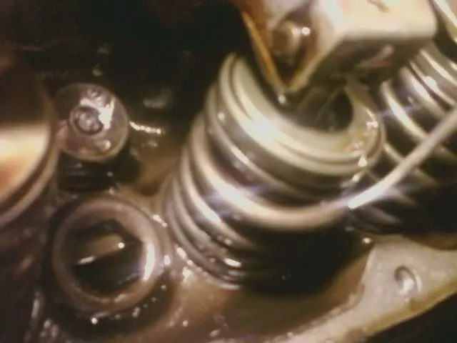 brknvalvespring.webp