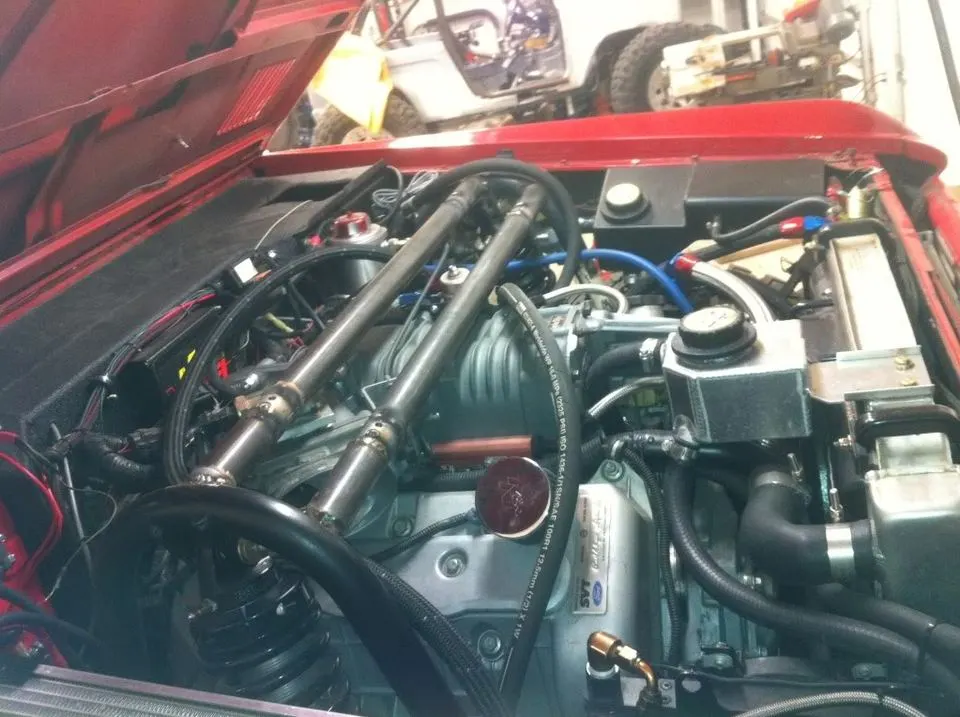 Bronco4811003.webp