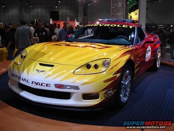 Bruce.webp