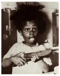 buckwheat-poster-card-c10230417.webp