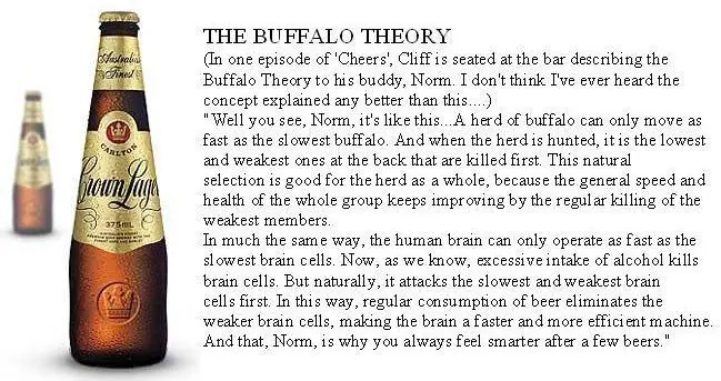 BuffaloTheory.webp