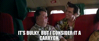 bulky-carry-on.gif
