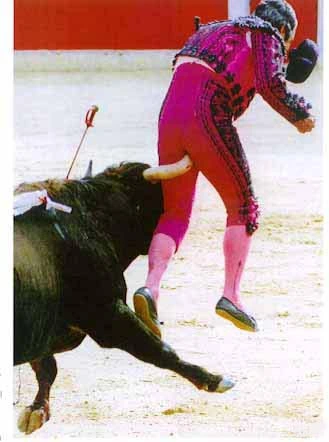bullfight.webp