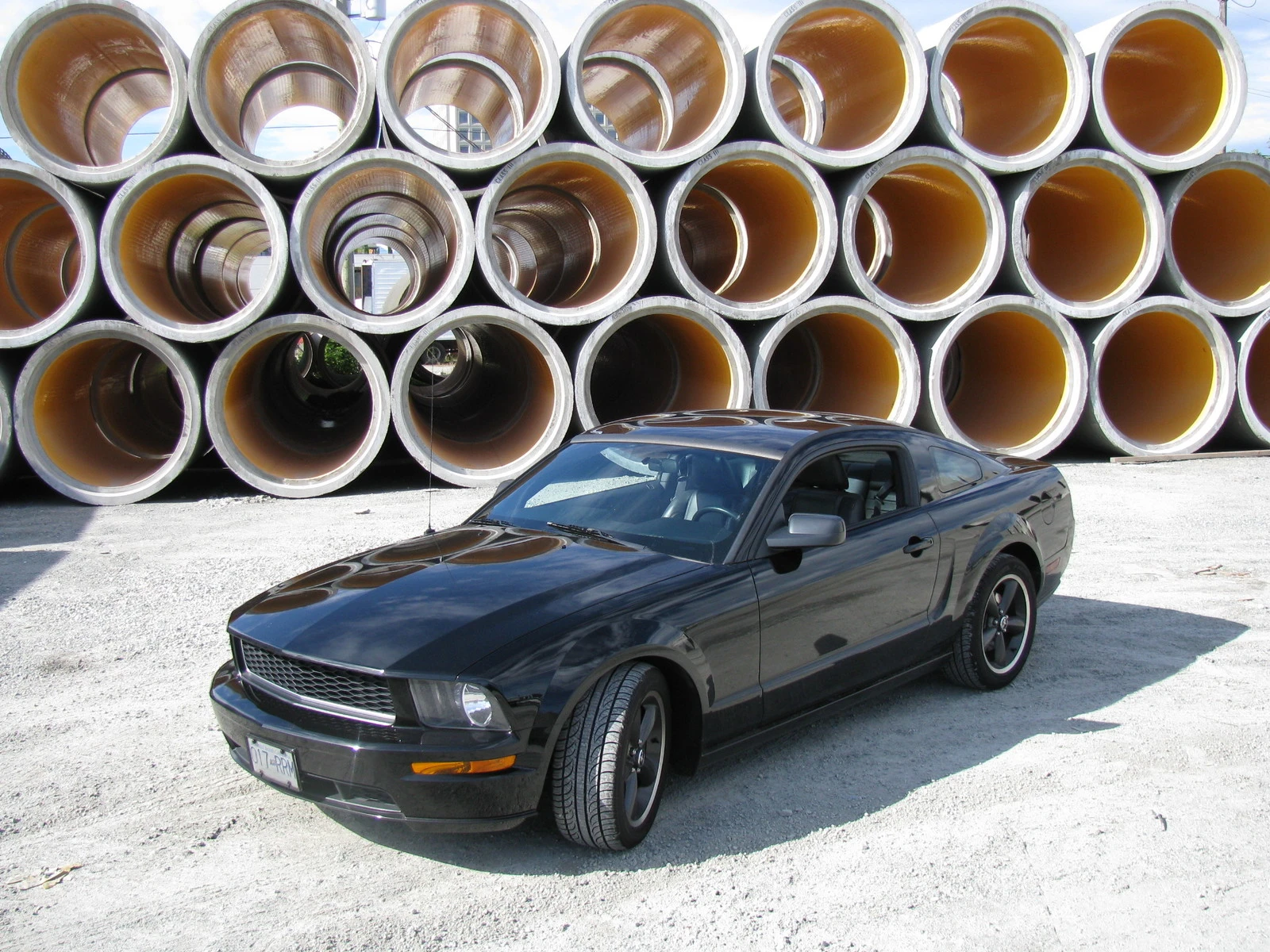 Bullitt 01.webp