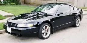 bullitt.webp