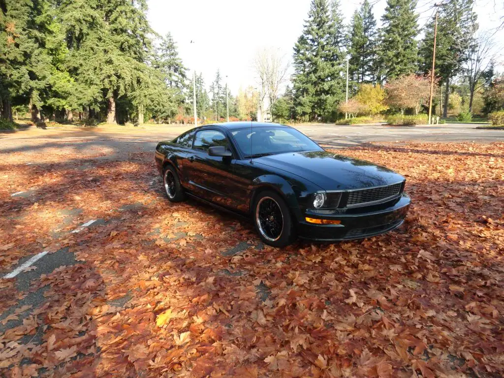 Bullitt002.webp