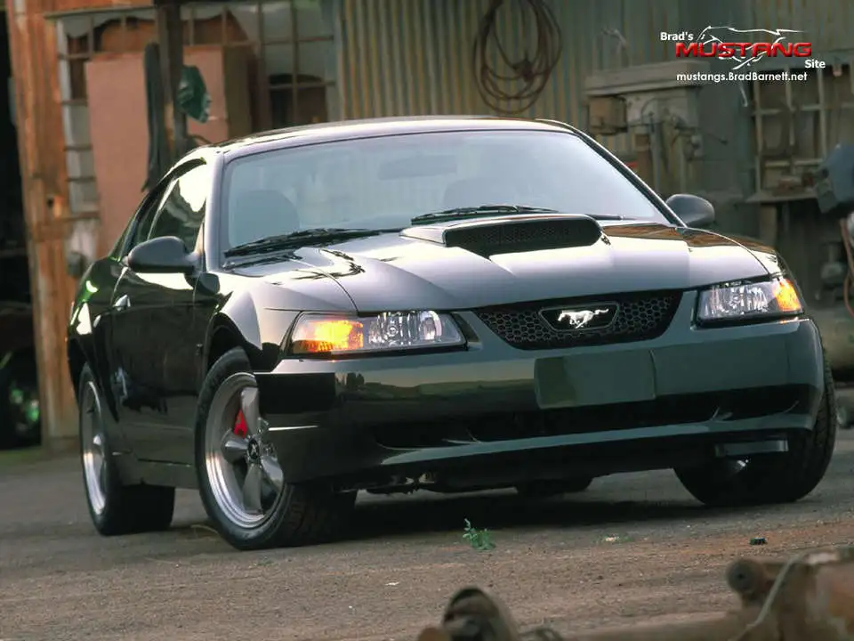 Bullitt1.webp
