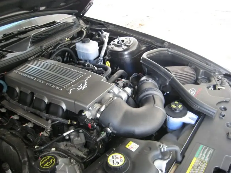 Bullitt2.webp
