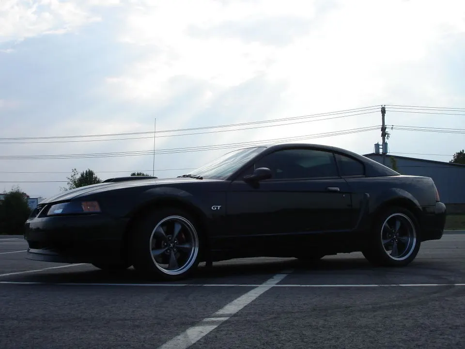 Bullitt312021.webp