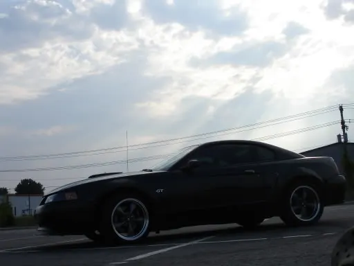Bullitt312022.webp