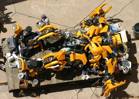 bumblebee_onback.webp