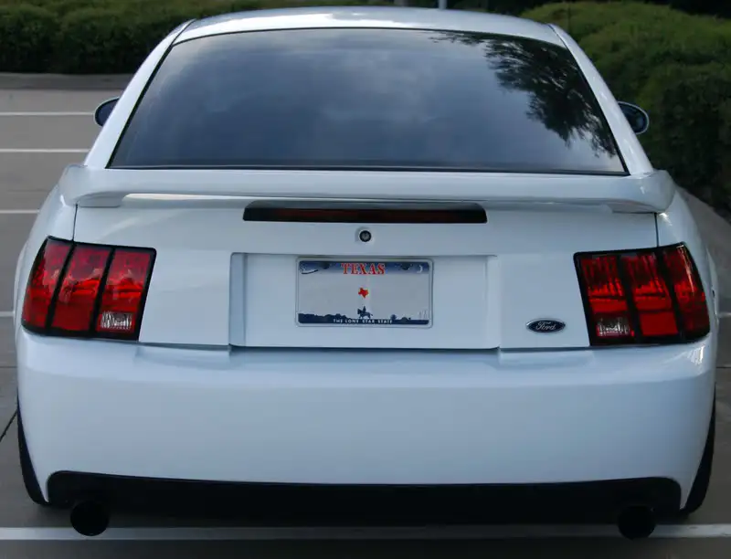 Bumper.webp