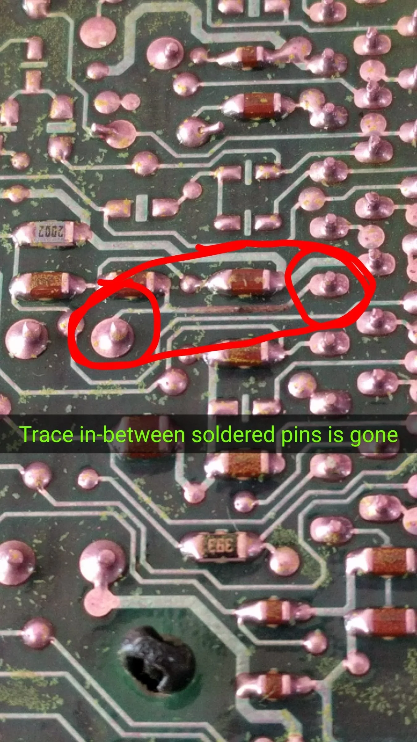 burnt ground.webp