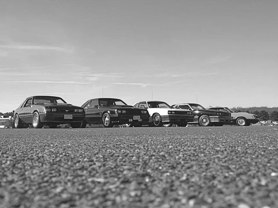 bw1024.webp