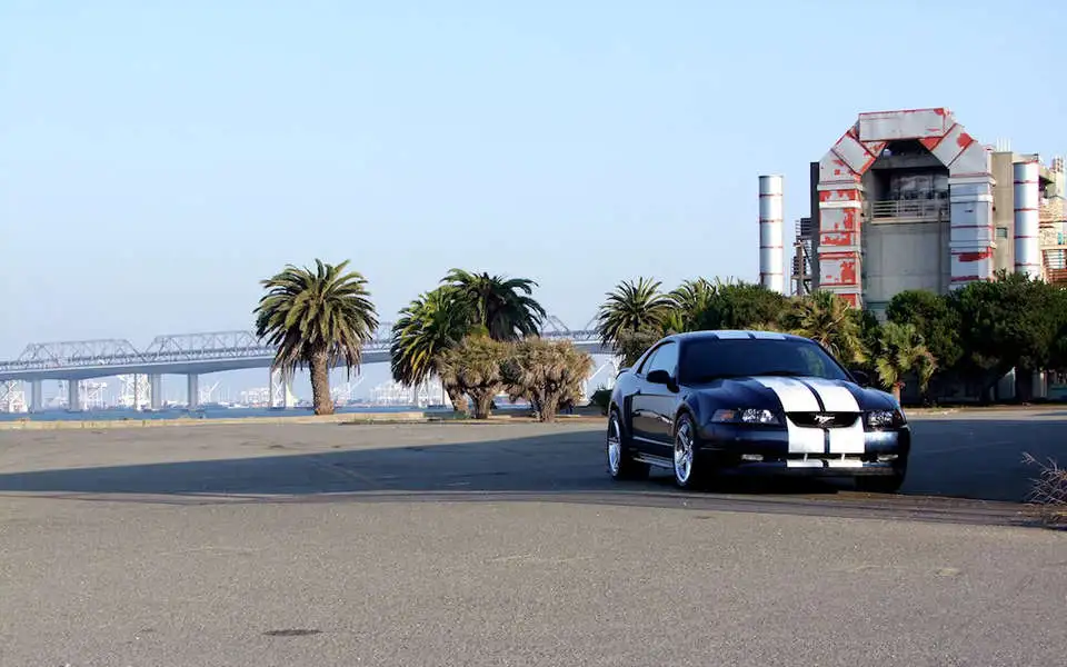 c1.webp