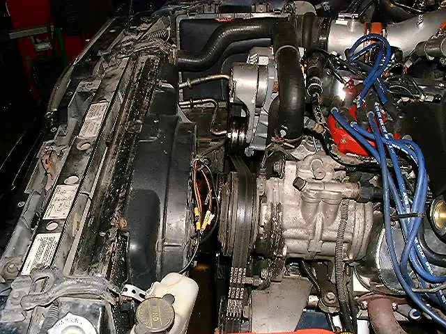 c3594857.webp