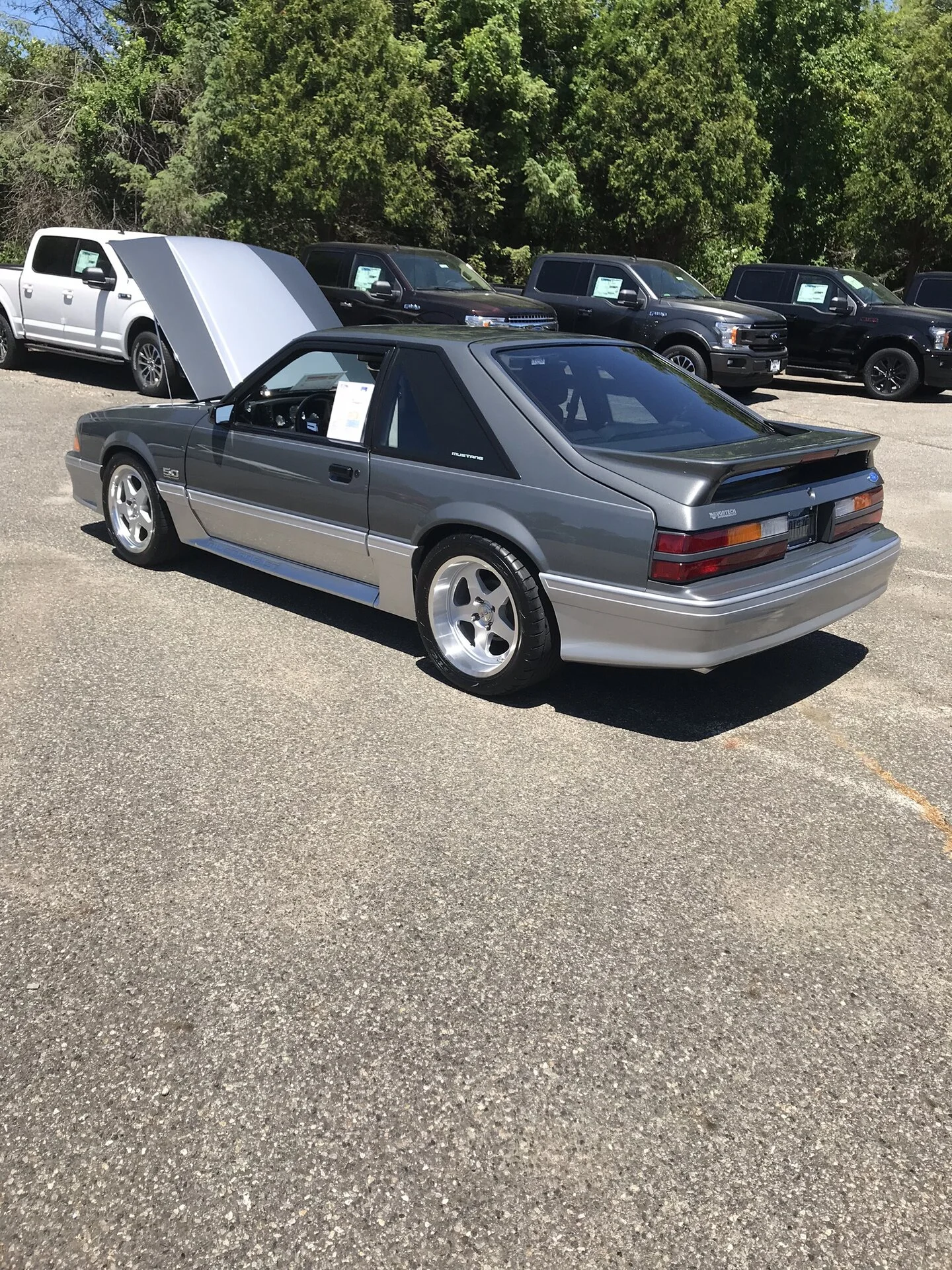 C649AF4A-A720-4AF6-B15C-8F6B860F3C06.webp
