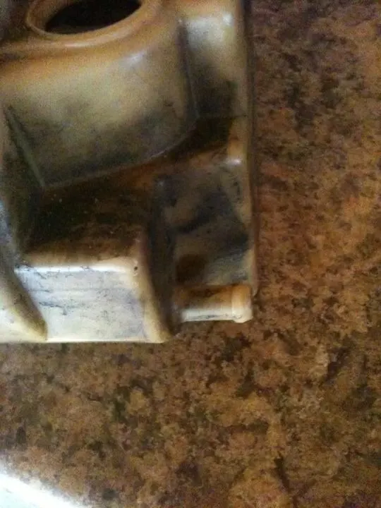 caa5973f.webp