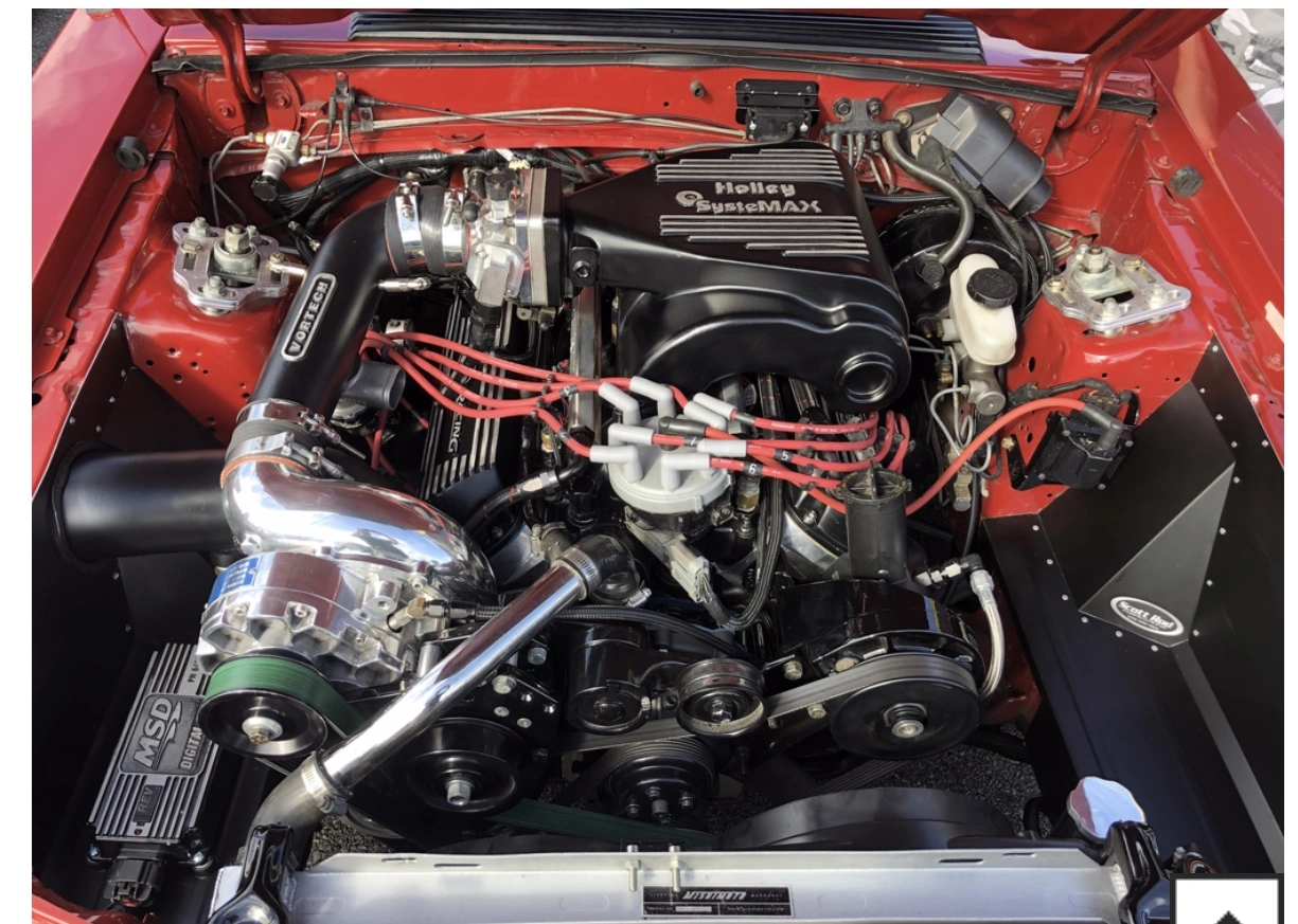 CAAF5165-0EF5-4054-AAA6-4A95DAE04991.webp