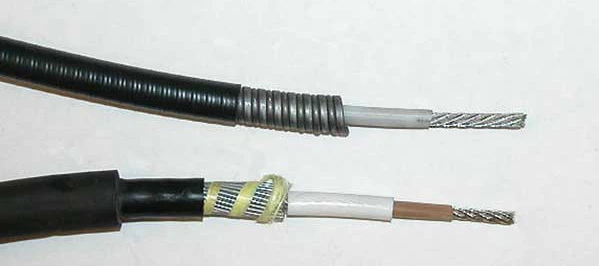 Cableanatomy1.webp