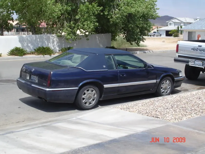 cadi1.webp