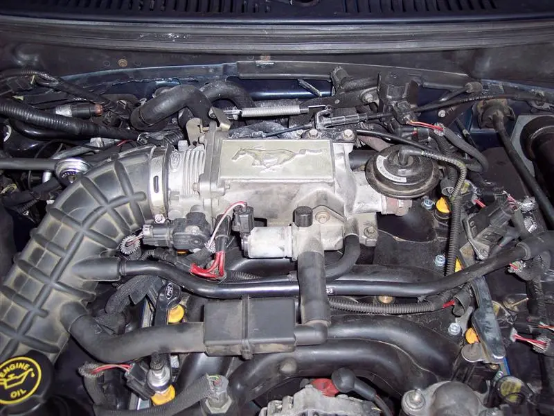 CAI%20TB%20and%20Plenum%20001%20(Medium).webp