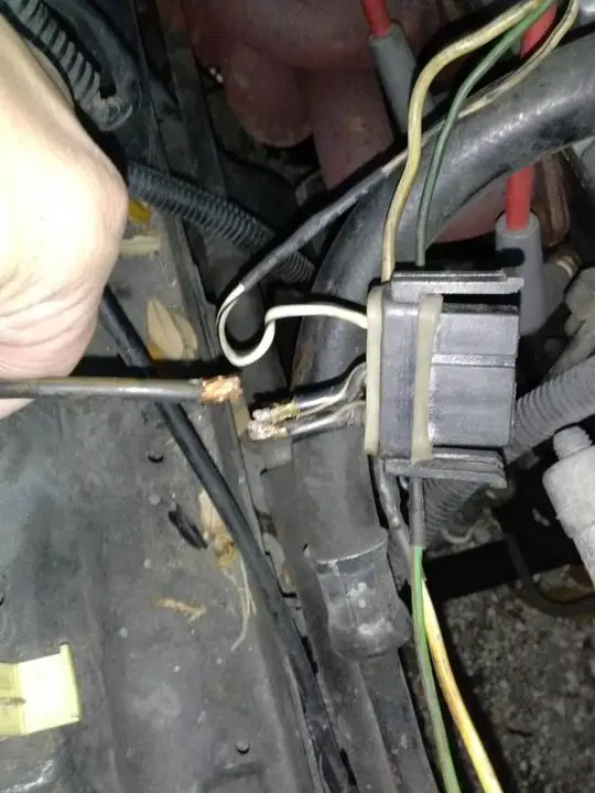CAM00175_zps8ab4a647.webp