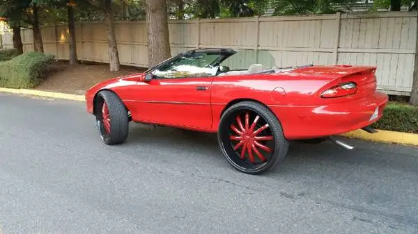 camaro2.webp