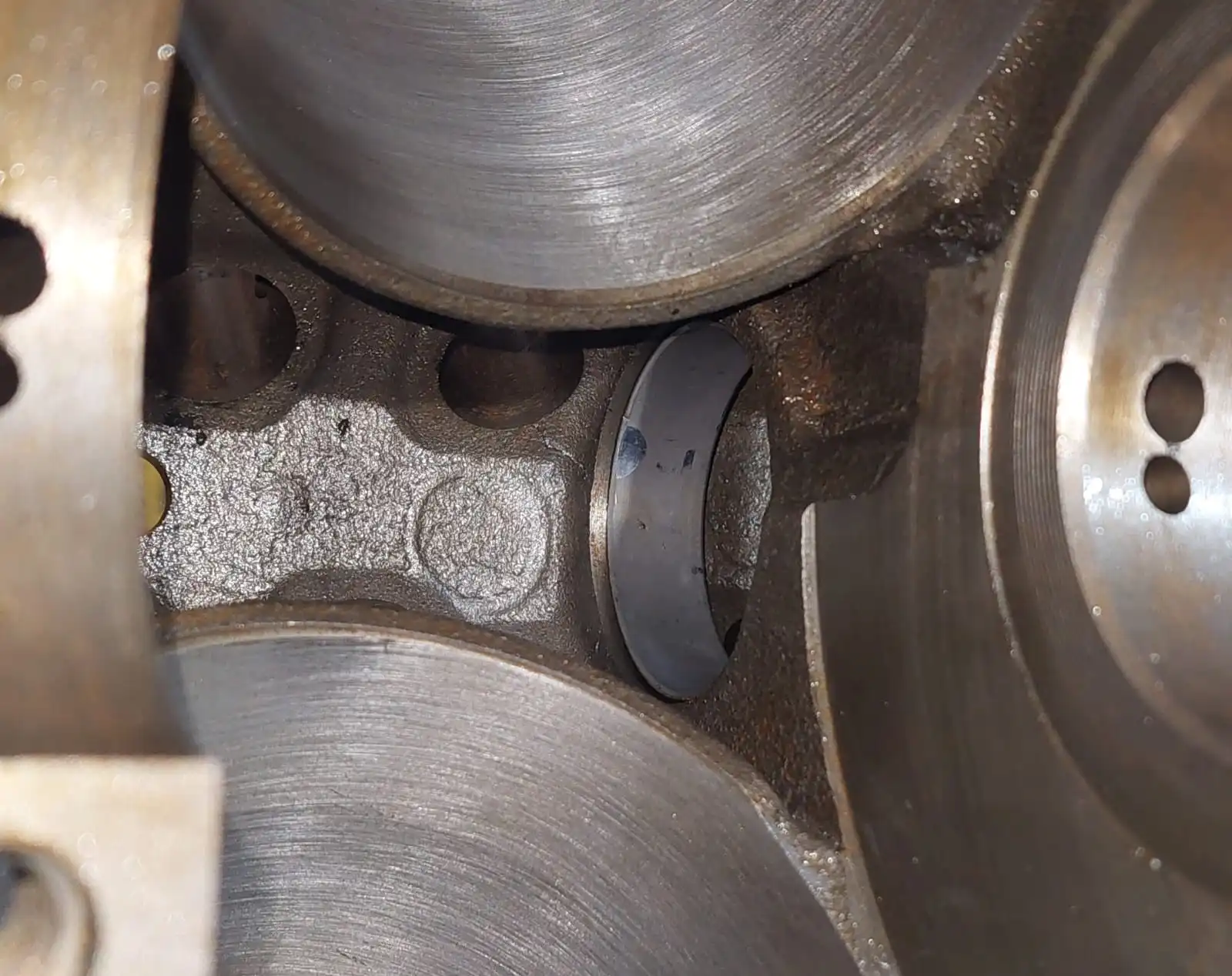 CamBearing.webp