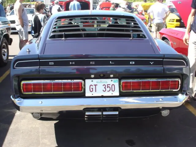 camerapictures475.webp