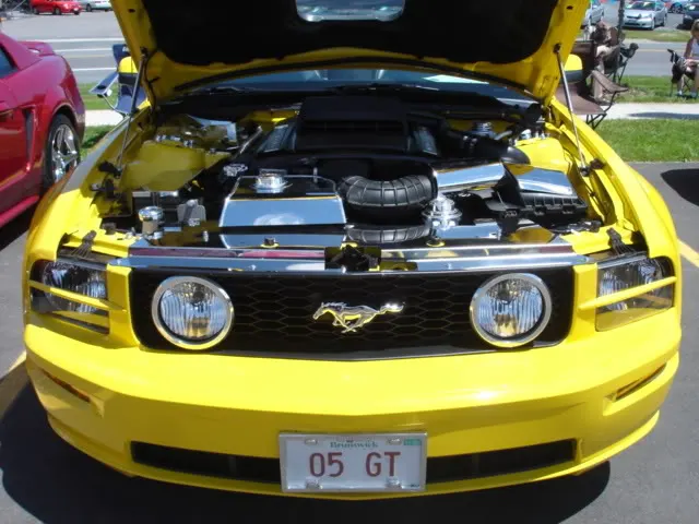 camerapictures490.webp