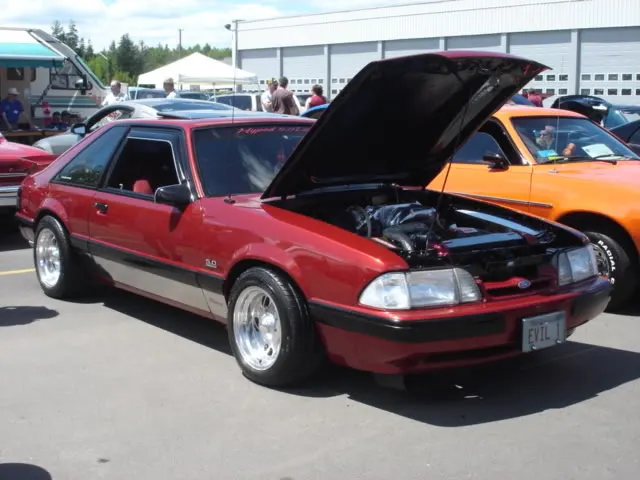 camerapictures509.webp