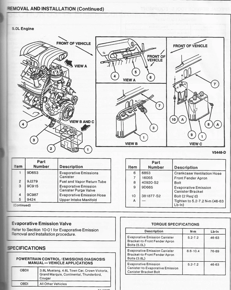 canist10.webp