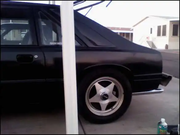 Caprirear2.webp