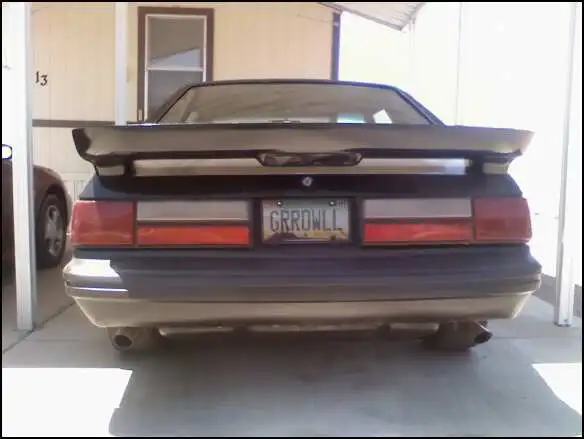 Caprirear5.webp