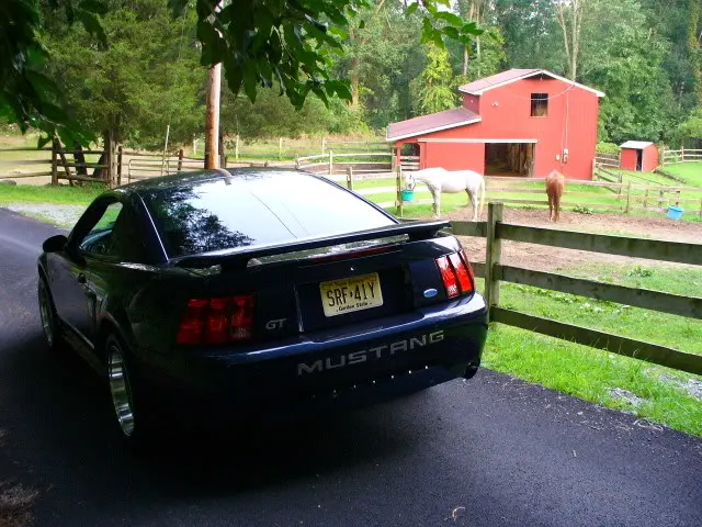 Captured2006-7-2900011.webp