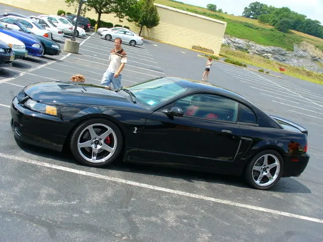 Captured2006-7-3000012.webp
