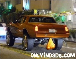 car-bull-balls-300x233.webp