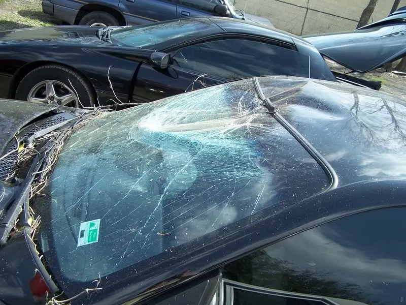CAR004.webp