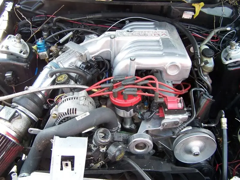 CAR005.webp