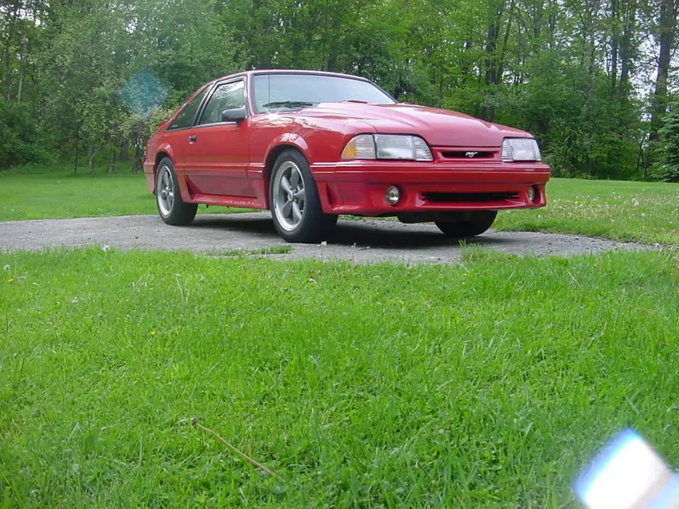 car010.webp