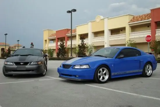 car011.webp