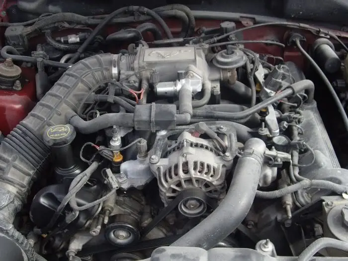 car016.webp